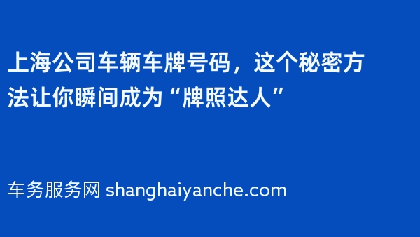 上海公司车辆车牌号码，这个秘密方法让你瞬间成为“牌照达人”