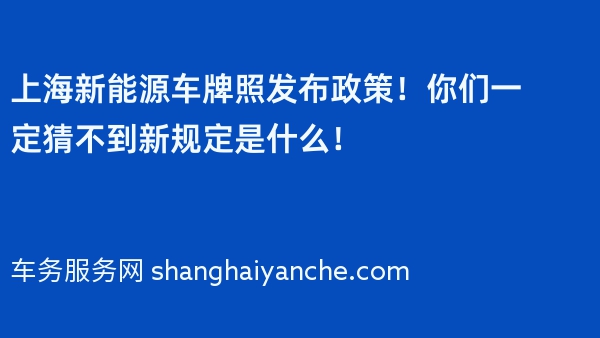 2024年上海新能源车牌照发布政策！你们一定猜不到新规定是什么！