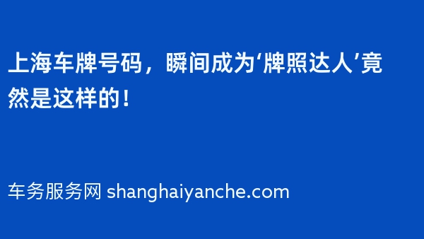 上海车牌号码，瞬间成为‘牌照达人’竟然是这样的！