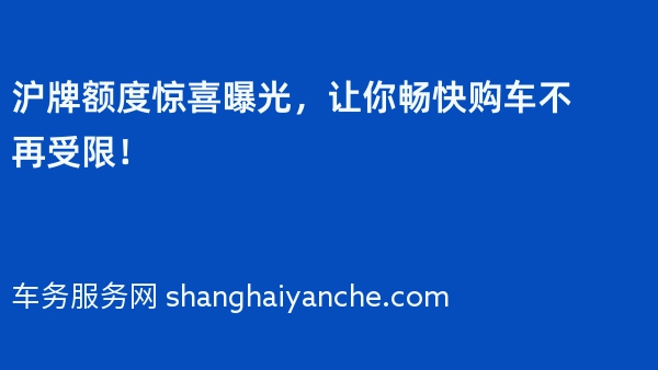 2024年沪牌额度惊喜曝光，让你畅快购车不再受限！