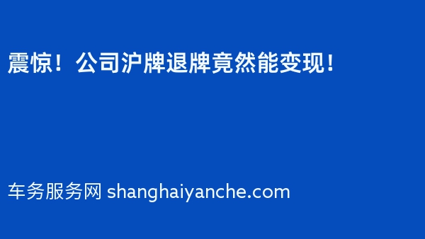 震惊！公司沪牌退牌竟然能变现！