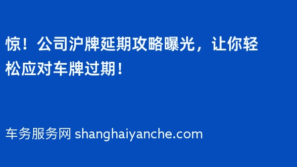 惊！公司沪牌延期攻略曝光，让你轻松应对车牌过期！