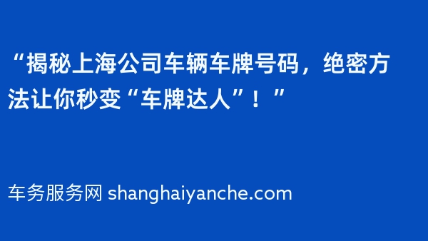 “揭秘上海公司车辆车牌号码，绝密方法让你秒变“车牌达人”！”