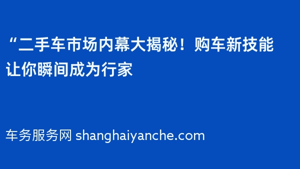 “二手车市场内幕大揭秘！购车新技能让你瞬间成为行家