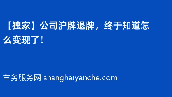 【独家】公司沪牌退牌，终于知道怎么变现了！